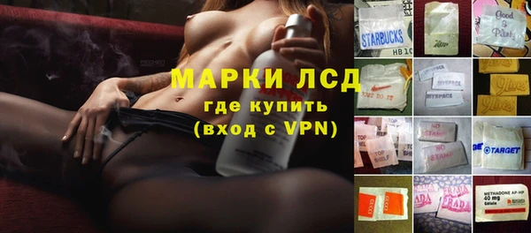 сатива Козельск