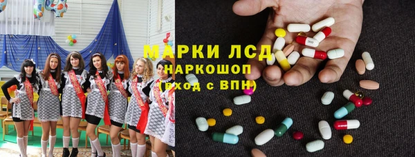 сатива Козельск