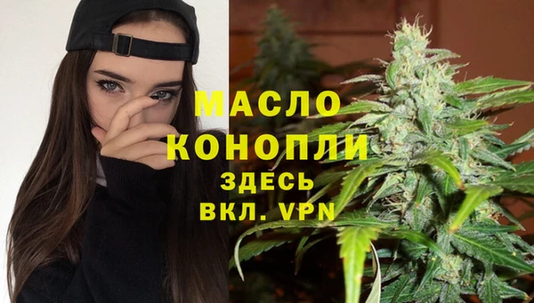 сатива Козельск